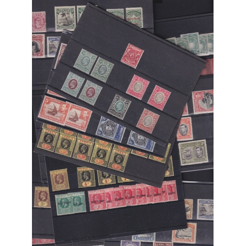 Lot 15        