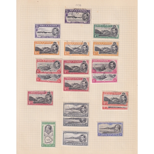 Lot 26        