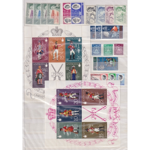 Lot 36        