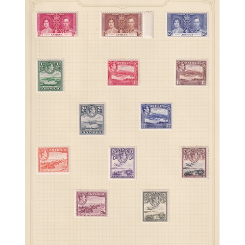 Lot 40        