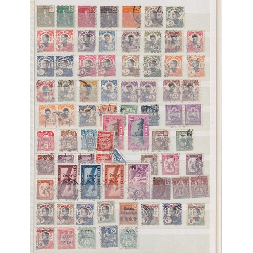 Lot 12        