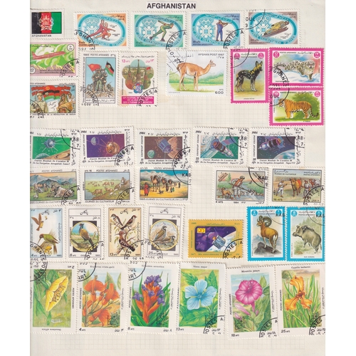 Lot 14        