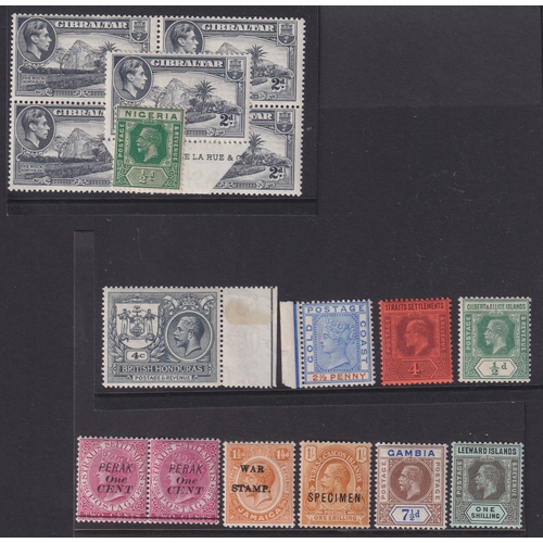Lot 56        