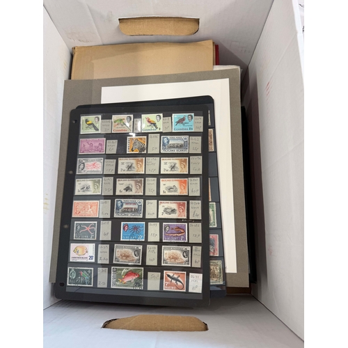 Lot 46        