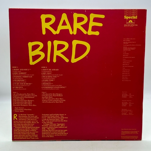 111 - A 12 inch vinyl album by Rare Bird - Rare Bird