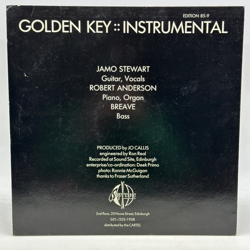 173 - A 12 inch vinyl album Golden Key Instrumental - Syndicate