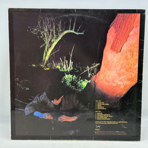 8 - A 12 inch vinyl album by Echo & the Bunnyman - Crocodiles