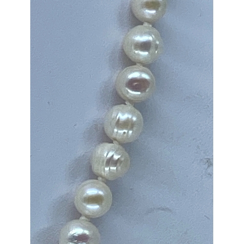 71 - A natural pearl necklace with a white metal clasp, 18 inches long, 5 - 6mm pearls,