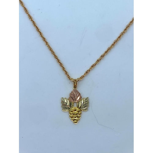 131 - A 9ct yellow gold leaf pendant & chain, pendant has a rose gold setting, chain is 18 inches long, 2.... 