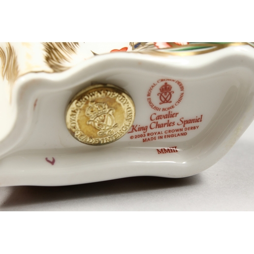 Royal Crown Derby Cavalier King Charles Spaniel fashion Gold Stopper