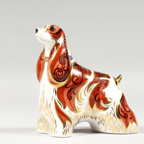 BOXED Royal buy Crown Derby ENGLISH SPANIEL