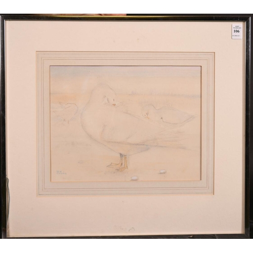 106 - K. Mackie (20th Century), A study of white ducks preening their feathers, watercolour, 10