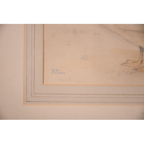 106 - K. Mackie (20th Century), A study of white ducks preening their feathers, watercolour, 10