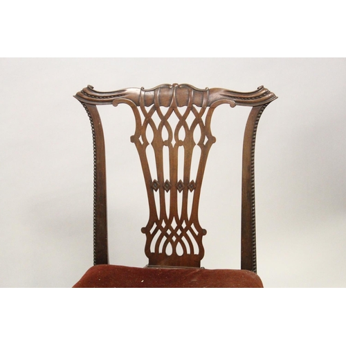 1006 - A CHIPPENDALE STYLE MAHOGANY SINGLE CHAIR, early 20th century, with carved cresting rail, pierced sp... 