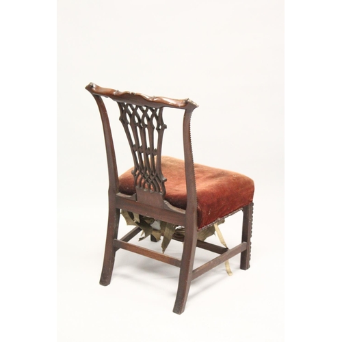 1006 - A CHIPPENDALE STYLE MAHOGANY SINGLE CHAIR, early 20th century, with carved cresting rail, pierced sp... 