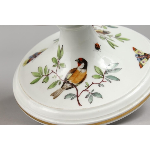 1131 - A VERY GOOD PAIR OF MEISSEN PIERCED CIRCULAR COMPORTS, 8.75ins diameter, the bases painted with bird... 