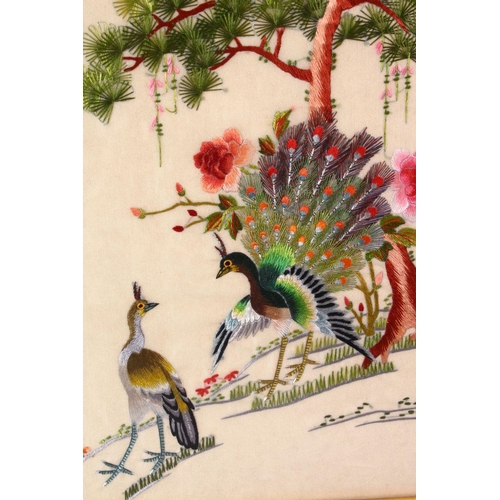 132 - 20TH CENTURY CHINESE SCHOOL, a silk embroidered picture depicting peacocks by a prunus tree, framed ... 