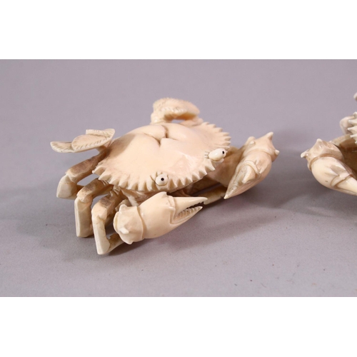 134 - A PAIR OF EARLY 20TH CENTURY CARVED IVORY MODELS OF CRABS, with articulated eyes, 7cm wide.