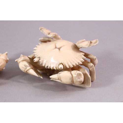 134 - A PAIR OF EARLY 20TH CENTURY CARVED IVORY MODELS OF CRABS, with articulated eyes, 7cm wide.