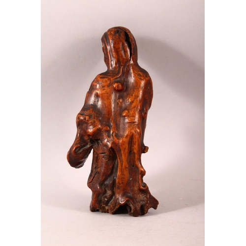 197 - A CHINESE CARVED ROOTWOOD FIGURE OF A SAGE, 29cm high.