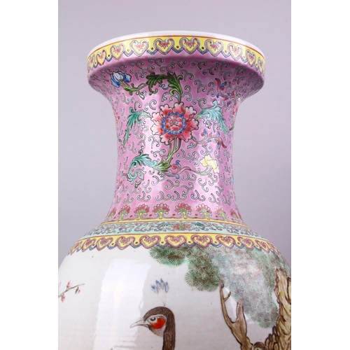 224 - A LARGE CHINESE FAMILLE ROSE PORCELAIN PEACOCK VASE, with decoration of peacocks in landscapes among... 