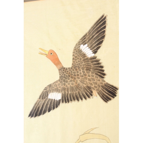 242 - A JAPANESE FRAMED PAINTED SILK PICTURE OF AN EAGLE AND DUCKS, the eagle attacking a duck whilst the ... 