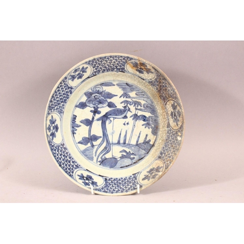 256 - A FOUR CHINESE WANLI PERIOD BLUE & WHITE SHIPWRECK PORCELAIN PEACOCK DISHES.