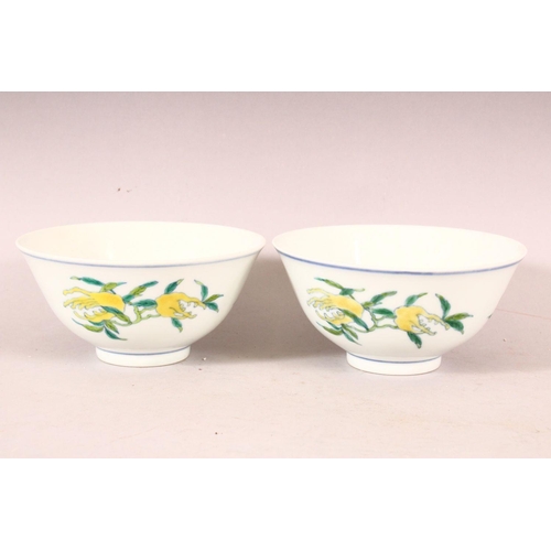 265 - A GOOD QUALITY PAIR OF CHINESE FAMILLE ROSE PORCELAIN PEACH BOWLS, the body of the bowls with decora... 