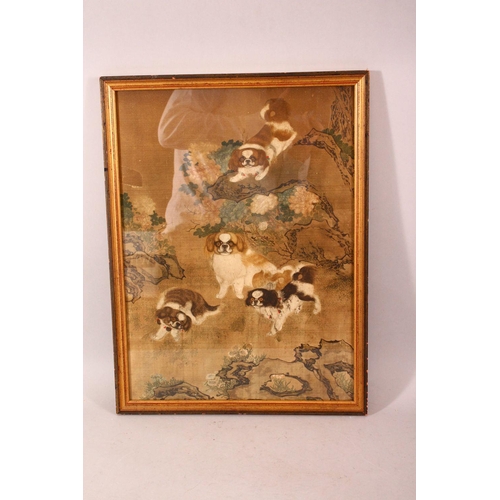 269 - A MID 20TH CENTURY SCHOOL CHINESE PAINTING ON SILK depicting four shi-shi dogs in a landscape, image... 