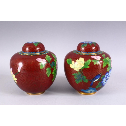 272 - A PAIR OF CHINESE CLOISONNE GINGER JARS AND COVERS, decorated with a bird amongst flowers, 16cm high... 