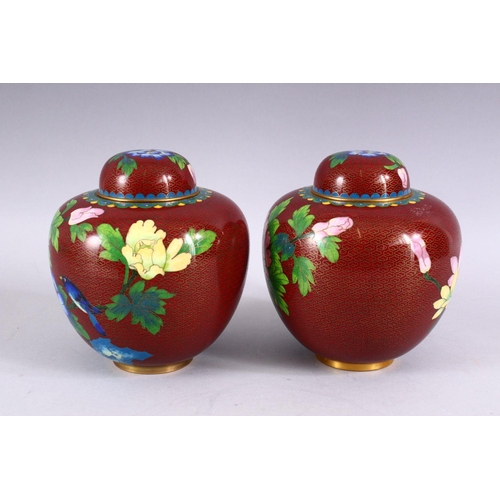 272 - A PAIR OF CHINESE CLOISONNE GINGER JARS AND COVERS, decorated with a bird amongst flowers, 16cm high... 