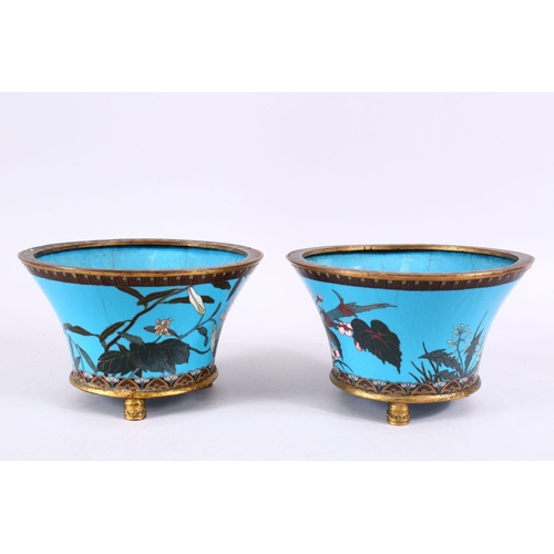 39 - A PAIR OF JAPANESE MEIJI PERIOD CLOISONNE JARDINIERE'S, each with turquoise enamel ground with gilt ... 