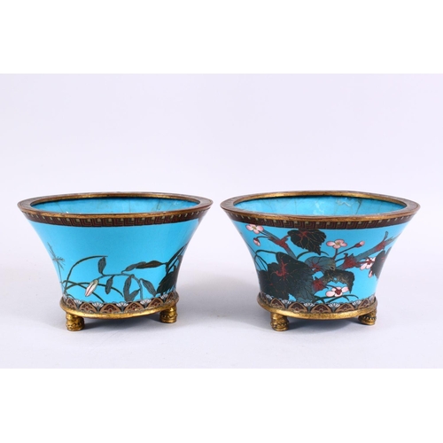 39 - A PAIR OF JAPANESE MEIJI PERIOD CLOISONNE JARDINIERE'S, each with turquoise enamel ground with gilt ... 