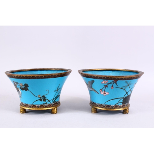 39 - A PAIR OF JAPANESE MEIJI PERIOD CLOISONNE JARDINIERE'S, each with turquoise enamel ground with gilt ... 