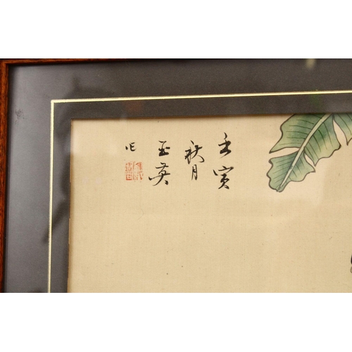 459 - TWO GOOD CHINESE PAINTINGS ON SILK, one painting depicting native flora and butterflies, signed and ... 