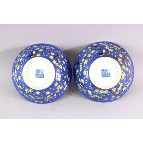 469 - A PAIR OF CHINESE BLUE GROUND PORCELAIN BOWLS, each decorated with birds perched on blossoming bough... 