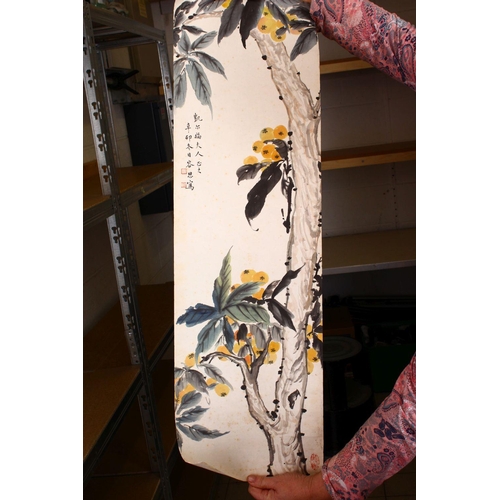 520 - A GOOD 20TH CENTURY CHINESE SCROLL PAINTING, depicting a tree large white blossom, signed and with t... 