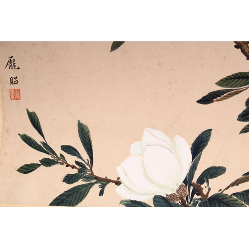 520 - A GOOD 20TH CENTURY CHINESE SCROLL PAINTING, depicting a tree large white blossom, signed and with t... 