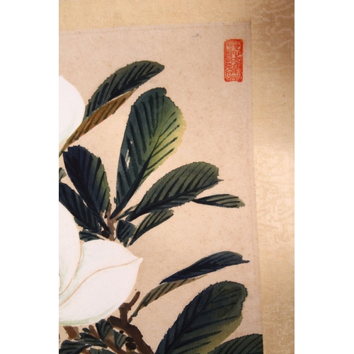 520 - A GOOD 20TH CENTURY CHINESE SCROLL PAINTING, depicting a tree large white blossom, signed and with t... 