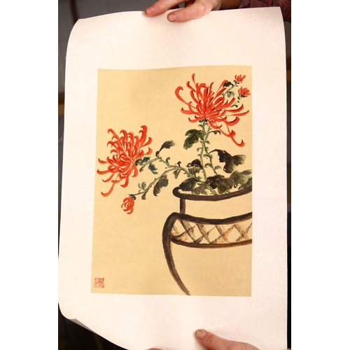 520 - A GOOD 20TH CENTURY CHINESE SCROLL PAINTING, depicting a tree large white blossom, signed and with t... 