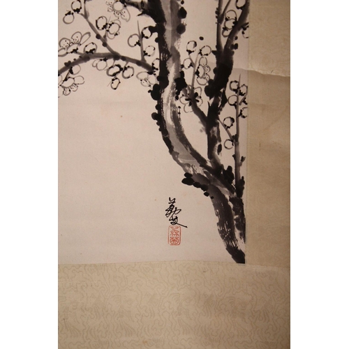 525 - A GOOD 20TH CENTURY CHINESE SCROLL PAINTING depicting a flowering cherry blossom tree, image size 68... 