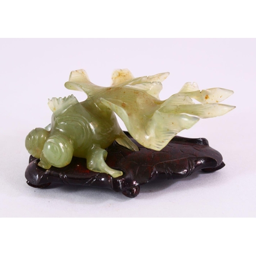 66 - A CHINESE CARVED JADE FIGURE OF A GOLDFISH, on a carved wooden base, 10cm.