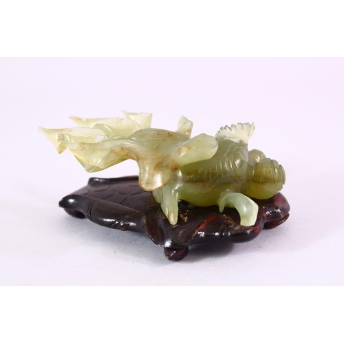 66 - A CHINESE CARVED JADE FIGURE OF A GOLDFISH, on a carved wooden base, 10cm.