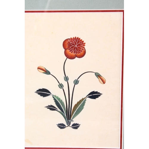 667 - A FINE SET OF FIVE 19TH CENTURY FRAMED INDIAN SCHOOL FLORAL ARCHITECTURAL PAINTINGS. PROBABLY AGRA, ... 