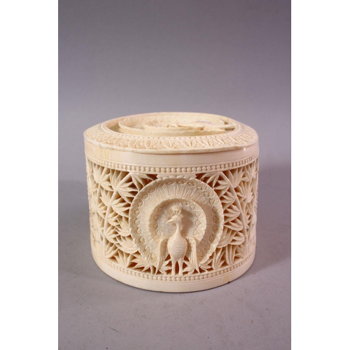 744 - A FINE EARLY 20TH CENTURY IVORY TUSK BOX AND COVER, the cover pierced and carved with a peacock, the... 