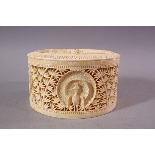 744 - A FINE EARLY 20TH CENTURY IVORY TUSK BOX AND COVER, the cover pierced and carved with a peacock, the... 