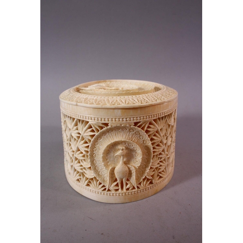 744 - A FINE EARLY 20TH CENTURY IVORY TUSK BOX AND COVER, the cover pierced and carved with a peacock, the... 