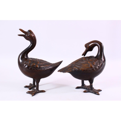 84 - A PAIR OF CHINESE BRONZE FIGURES OF DUCKS, both in standing positions with detailed carvings of feat... 