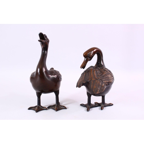 84 - A PAIR OF CHINESE BRONZE FIGURES OF DUCKS, both in standing positions with detailed carvings of feat... 