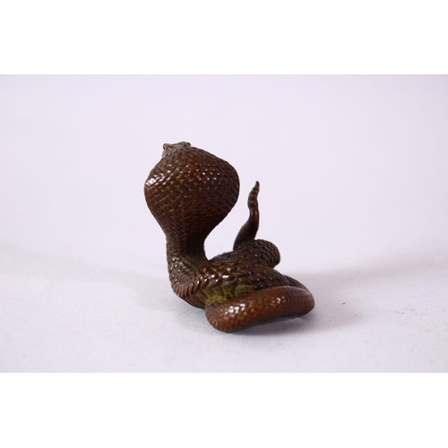 119 - A JAPANESE BRONZE MODEL OF A COBRA SNAKE, intertwined, signed, 4.5cm.